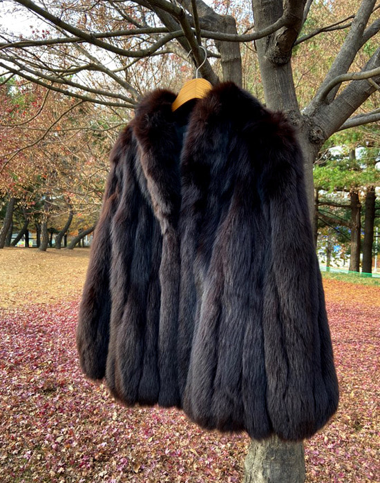 SAGA FOX Coat  ( FUR original Finland, L size )