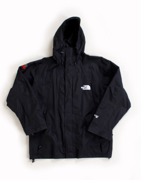The North Face Summit Series Gore-tex Parka  ( L size )