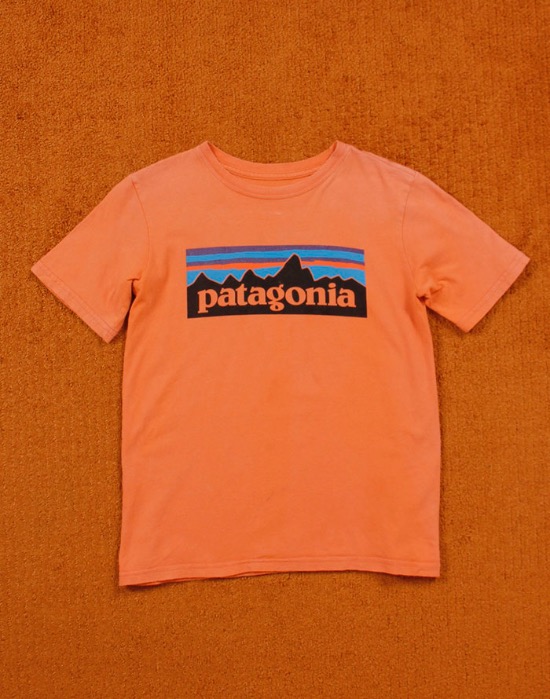 PATAGONIA Organic Logo T-Shirt ( KIDS, S size 7-8세 )