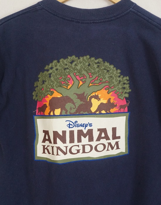 Walt Disney World _ ANIMAL KINGDOM T-SHIRT ( KIDS XL size )