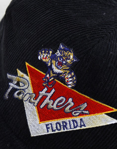 90&#039;s NHL FLORIDA PANTHERS CAP ( FREE SIZE )