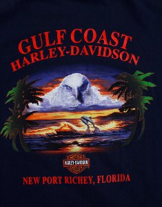 HARLEY-DAVIDSON GULF COAST FL SHIRT ( XL size )