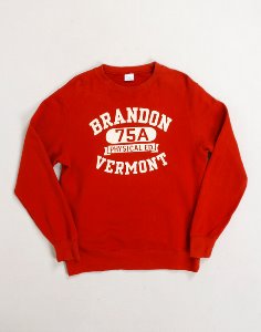 Champion Brandon Vermont Sportswear Crewneck ( L size )