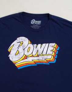 David Bowie Vintage T-Shirt ( 100 size )