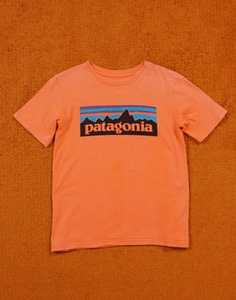 PATAGONIA Organic Logo T-Shirt ( KIDS, S size 7-8세 )